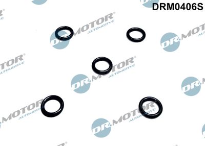Seal Ring, cylinder head cover bolt Dr.Motor Automotive DRM0406S
