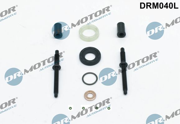 Dr.Motor Automotive DRM040L Repair Kit, injection nozzle