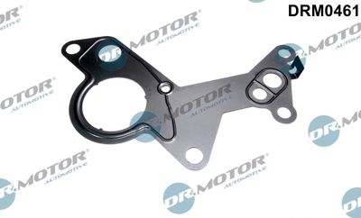 Gasket, vacuum pump Dr.Motor Automotive DRM0461