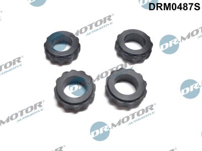 Seal Ring, injector Dr.Motor Automotive DRM0487S