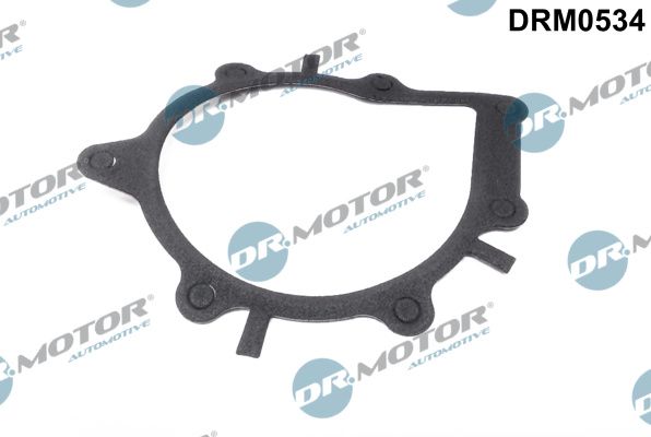 Dr.Motor Automotive DRM0534 Gasket, water pump