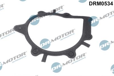 Gasket, water pump Dr.Motor Automotive DRM0534