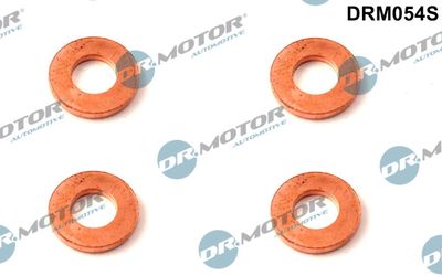 Heat Shield, injection system Dr.Motor Automotive DRM054S