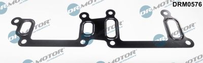 Seal, coolant pipe Dr.Motor Automotive DRM0576