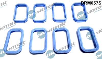 Gasket Set, intake manifold Dr.Motor Automotive DRM057S