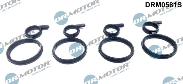 Dr.Motor Automotive DRM0581S Seal, camshaft seal cap