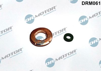 Seal Kit, injector nozzle Dr.Motor Automotive DRM061