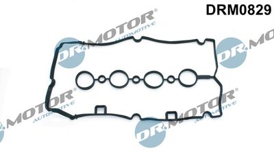 Gasket, cylinder head cover Dr.Motor Automotive DRM0829