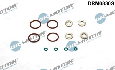 Seal Kit, injector nozzle Dr.Motor Automotive DRM0830S