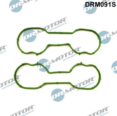 Dr.Motor Automotive DRM091S Gasket Set, intake manifold