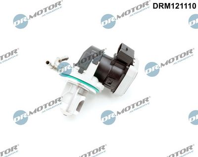 EGR Valve Dr.Motor Automotive DRM121110