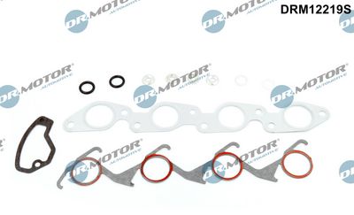 Full Gasket Kit, engine Dr.Motor Automotive DRM12219S