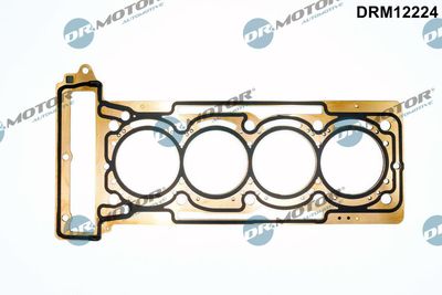 Gasket, cylinder head Dr.Motor Automotive DRM12224