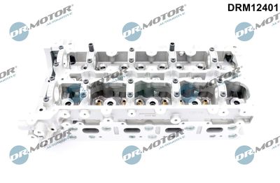 Cylinder Head Dr.Motor Automotive DRM12401