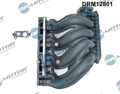 Intake Manifold Module Dr.Motor Automotive DRM12801