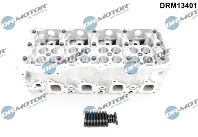 Cylinder Head Dr.Motor Automotive DRM13401