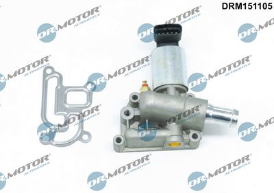 EGR Valve Dr.Motor Automotive DRM151105