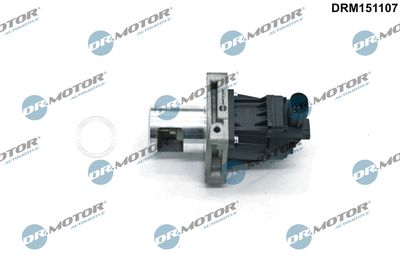 EGR Valve Dr.Motor Automotive DRM151107