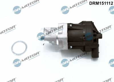 EGR Valve Dr.Motor Automotive DRM151112