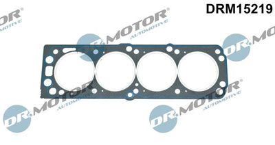 Gasket, cylinder head Dr.Motor Automotive DRM15219