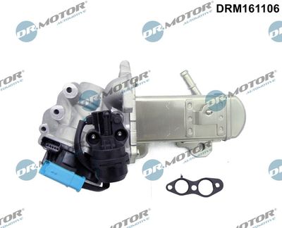Cooler, exhaust gas recirculation Dr.Motor Automotive DRM161106