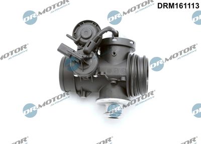 EGR Valve Dr.Motor Automotive DRM161113