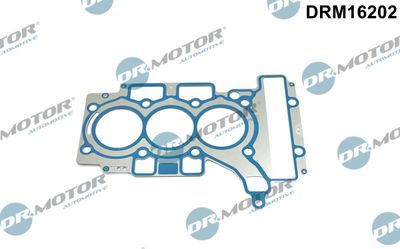 Gasket, cylinder head Dr.Motor Automotive DRM16202