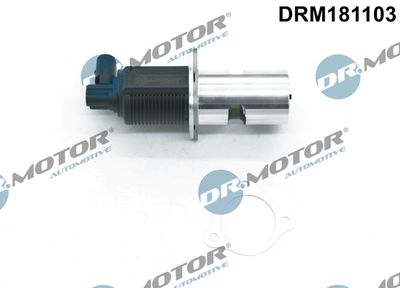 EGR Valve Dr.Motor Automotive DRM181103