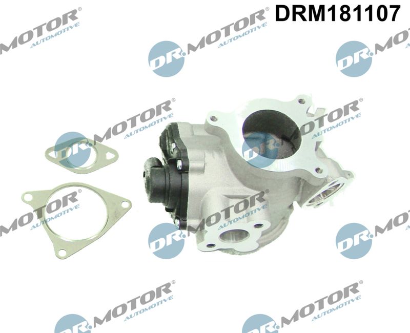 Dr.Motor Automotive DRM181107 EGR Valve
