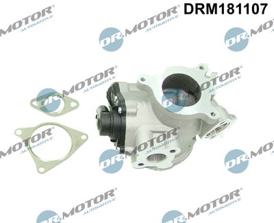 EGR Valve Dr.Motor Automotive DRM181107