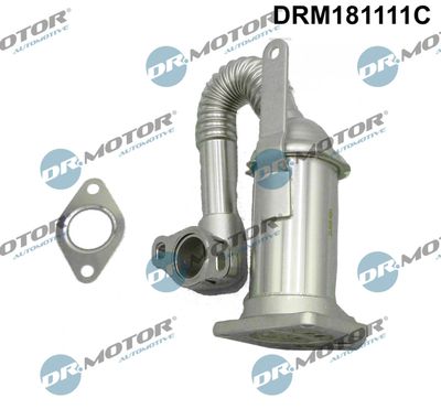 Cooler, exhaust gas recirculation Dr.Motor Automotive DRM181111C