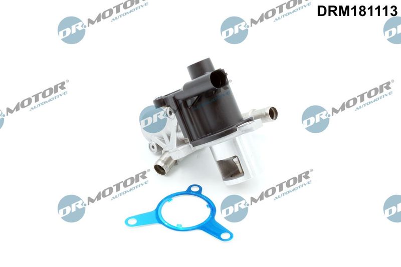 Dr.Motor Automotive DRM181113 EGR Valve