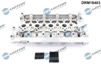 Cylinder Head Dr.Motor Automotive DRM18403
