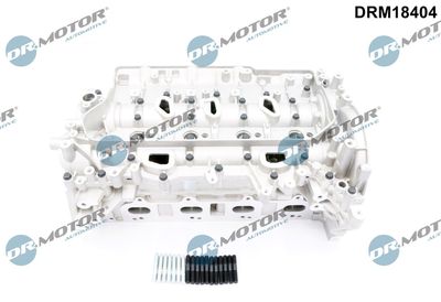 Cylinder Head Dr.Motor Automotive DRM18404
