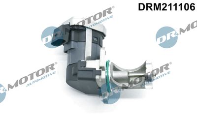 EGR Valve Dr.Motor Automotive DRM211106