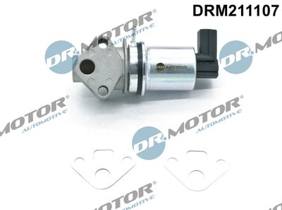 EGR Valve Dr.Motor Automotive DRM211107