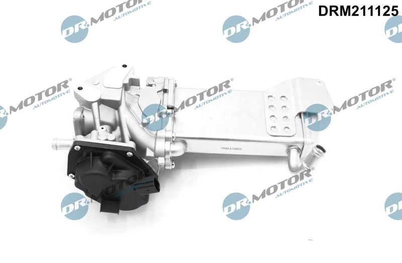 Dr.Motor Automotive DRM211125 EGR Valve