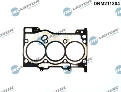 Gasket, cylinder head Dr.Motor Automotive DRM211304