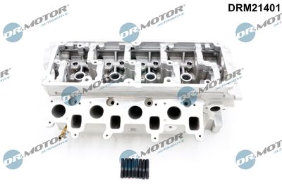 Cylinder Head Dr.Motor Automotive DRM21401