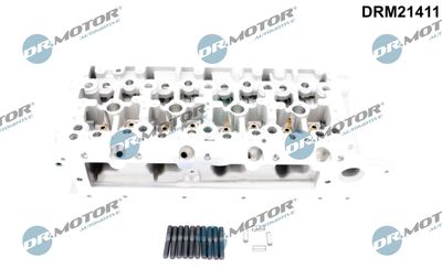Cylinder Head Dr.Motor Automotive DRM21411