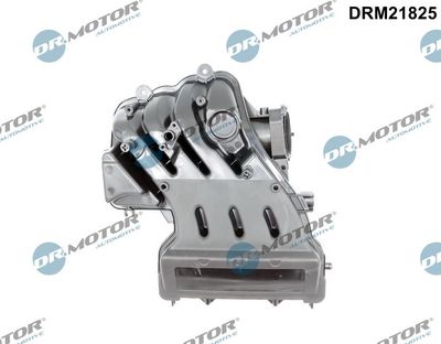 Intake Manifold Module Dr.Motor Automotive DRM21825