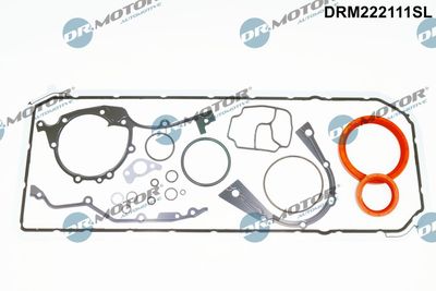 Gasket Kit, crankcase Dr.Motor Automotive DRM222111SL