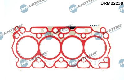 Gasket, cylinder head Dr.Motor Automotive DRM22230
