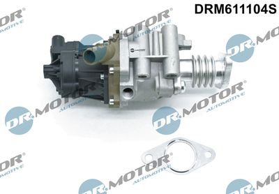 EGR Valve Dr.Motor Automotive DRM611104S