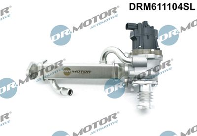 EGR Valve Dr.Motor Automotive DRM611104SL