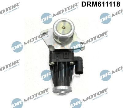 EGR Valve Dr.Motor Automotive DRM611118