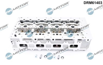 Cylinder Head Dr.Motor Automotive DRM61403