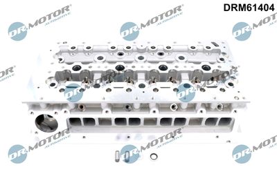 Cylinder Head Dr.Motor Automotive DRM61404