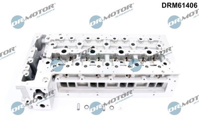 Cylinder Head Dr.Motor Automotive DRM61406