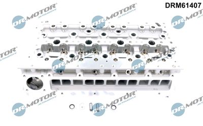 Cylinder Head Dr.Motor Automotive DRM61407